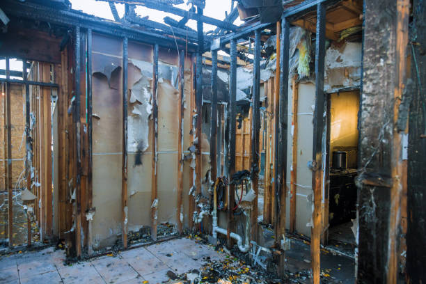 Professional Fire Damage Removal technician working in Village of the Branch, NY